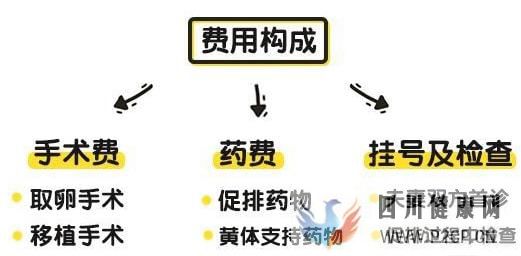 全国首次!试管婴儿费用纳入医保报销(图4)