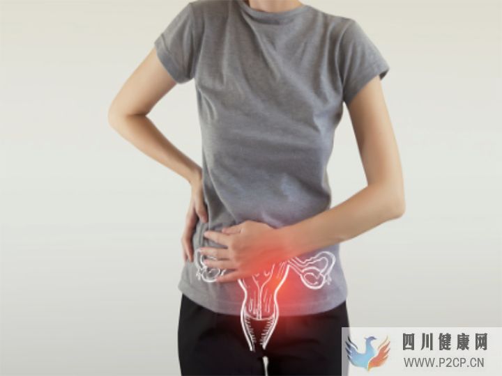 妇科和产科有什么区别(图1) 妇科和产科有什么区别(图1)