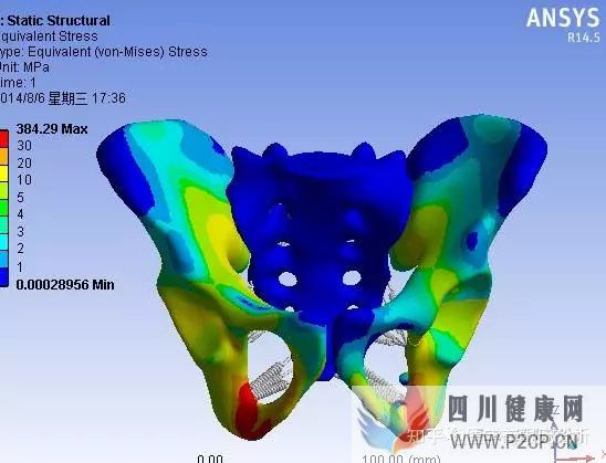 【每日医学】骨科基本知识整理(图1)