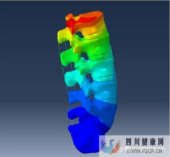 【每日医学】骨科基本知识整理(图3)