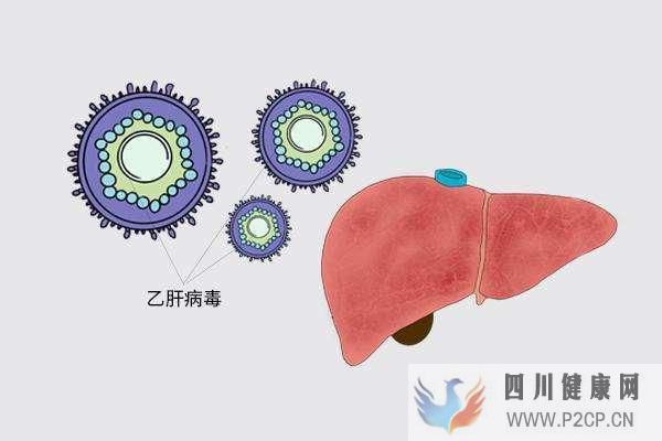 肝病多数是“拖”出来的,肝病的7个症状,你占了几...(图7)