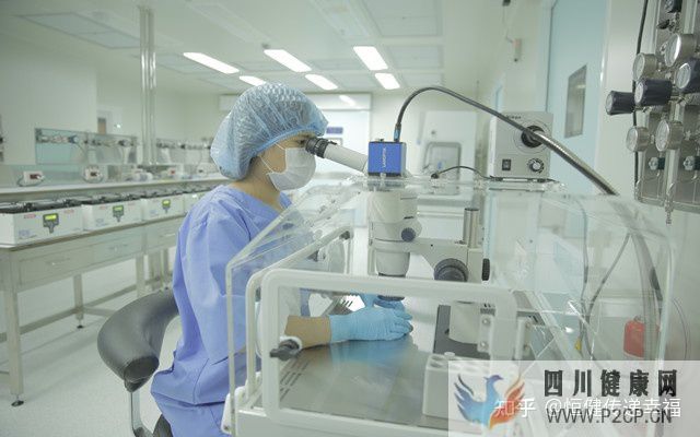 2022做三代试管婴儿费用明细有哪些(2022年国家免费做试管婴儿)(图5) 2022做三代试管婴儿费用明细有哪些(2022年国家免费做试管婴儿)(图5)