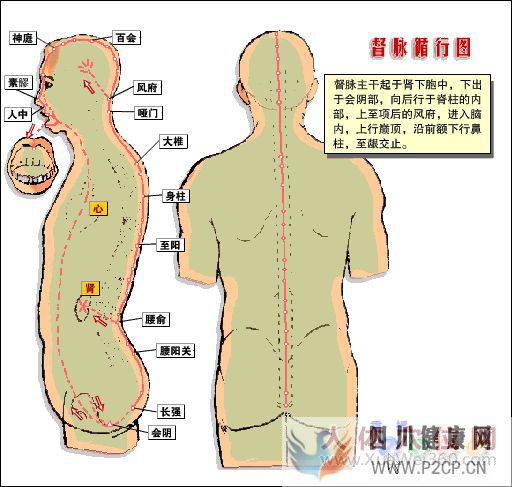 呼吸方法配合真气运行,打通任督二脉(图2) 呼吸方法配合真气运行,打通任督二脉(图2)