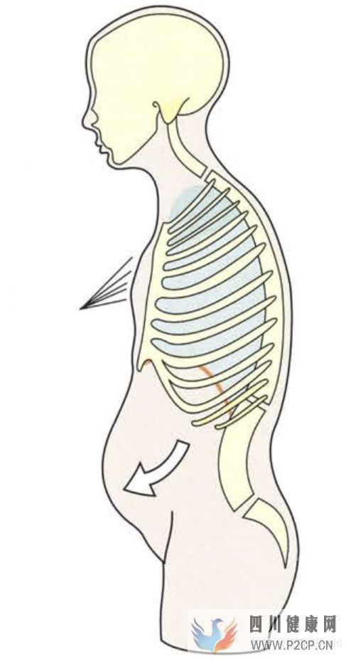 每天呼吸两万次,却没人懂的正确呼吸方式(图20)