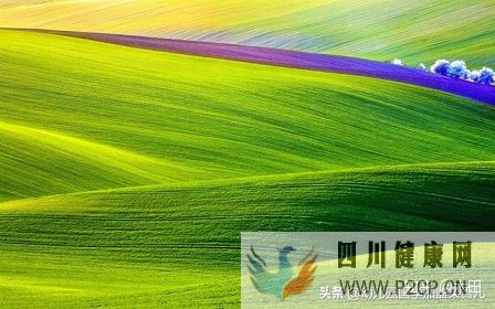 呼吸的七种方式(图6) 呼吸的七种方式(图6)