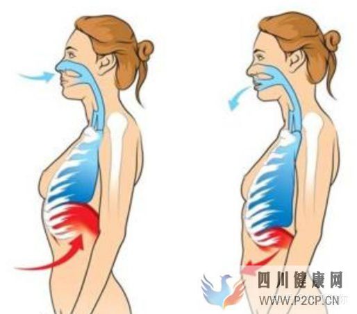 道家呼吸吐纳法,呼吸吐纳功法初学入门(图3)