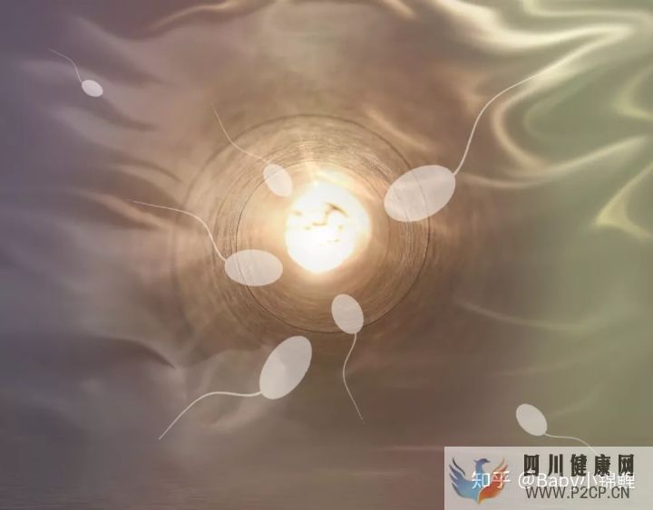 做到这2点,试管婴儿成功率或将提高25%至35%!(第二代试管婴儿成功率有多少)(图6) 做到这2点,试管婴儿成功率或将提高25%至35%!(第二代试管婴儿成功率有多少)(图6)