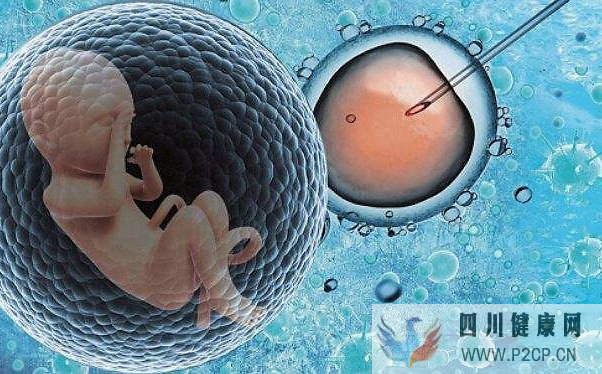 203040岁的女性做试管,成功率有多少?(38岁做试管婴儿成功率有多少)(图1) 203040岁的女性做试管,成功率有多少?(38岁做试管婴儿成功率有多少)(图1)