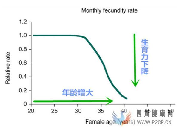 高龄女性对试管婴儿成功率有哪些影响如何提高女性卵子质量(38岁做试管婴儿成功率有多少)(图1)