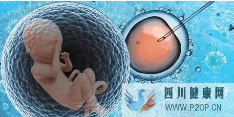 泰国试管婴儿费用第二代和第三代的相差多少(第二代试管婴儿怎么做的全过程)(图1) 泰国试管婴儿费用第二代和第三代的相差多少(第二代试管婴儿怎么做的全过程)(图1)