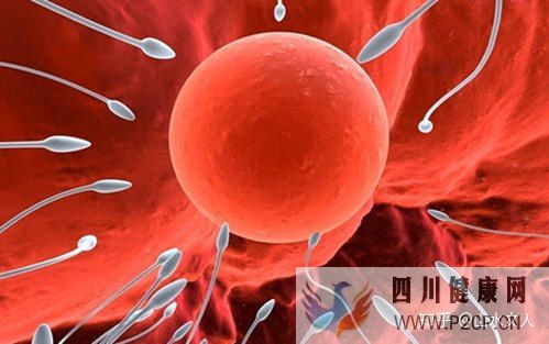 试管婴儿可以选择性别吗费用大概是多少钱(第一代试管婴儿可以选择性别吗)(图1) 试管婴儿可以选择性别吗费用大概是多少钱(第一代试管婴儿可以选择性别吗)(图1)