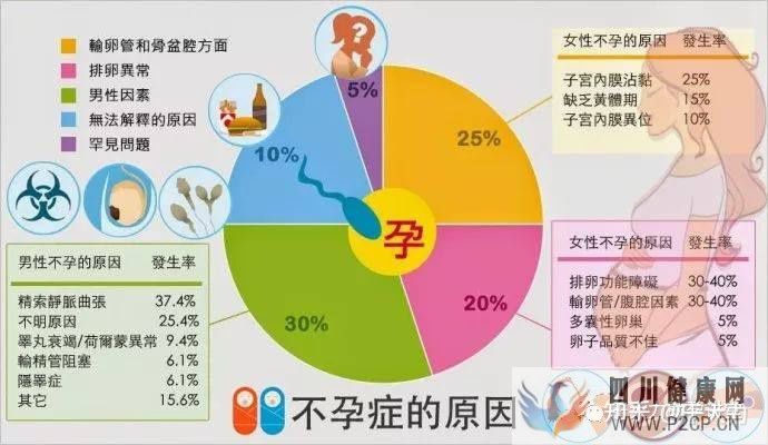 试管婴儿的一个基本流程和周期时间(二代试管婴儿需要多长时间)(图5) 试管婴儿的一个基本流程和周期时间(二代试管婴儿需要多长时间)(图5)