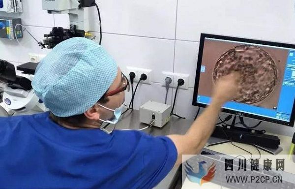 做试管婴儿需要多长时间(二代试管婴儿需要多长时间)(图1) 做试管婴儿需要多长时间(二代试管婴儿需要多长时间)(图1)