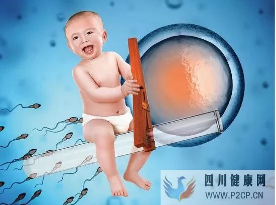 试管婴儿一个周期大概多长时间及需要多少钱?(二代试管婴儿需要多长时间)(图1) 试管婴儿一个周期大概多长时间及需要多少钱?(二代试管婴儿需要多长时间)(图1)