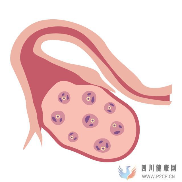 干货女性取卵全过程(两个女生试管婴儿怎么做的全过程)(图4) 干货女性取卵全过程(两个女生试管婴儿怎么做的全过程)(图4)