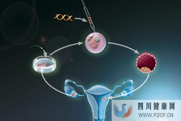 高龄女性做美国试管婴儿累计周期的目的是什么?(美国做试管婴儿的全部费用大概是多少)(图1) 高龄女性做美国试管婴儿累计周期的目的是什么?(美国做试管婴儿的全部费用大概是多少)(图1)