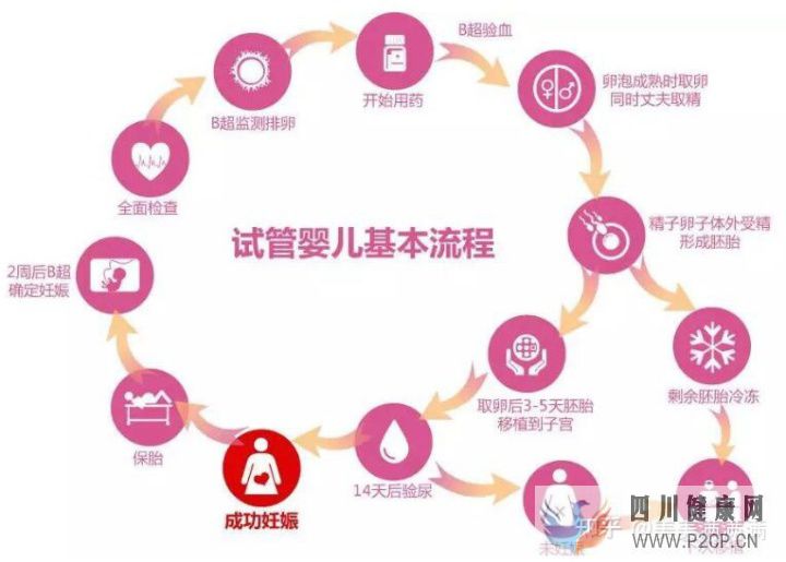 国内第三代试管婴儿全部详细流程!(男性试管婴儿怎么做的全过程)(图1) 国内第三代试管婴儿全部详细流程!(男性试管婴儿怎么做的全过程)(图1)