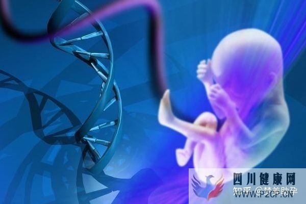 美国第三代试管婴儿费用是多少,成功率多高(美国做试管婴儿的全部费用大概是多少)(图5) 美国第三代试管婴儿费用是多少,成功率多高(美国做试管婴儿的全部费用大概是多少)(图5)