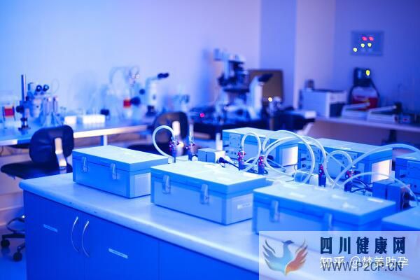 美国第三代试管婴儿费用是多少,成功率多高(美国做试管婴儿的全部费用大概是多少)(图15) 美国第三代试管婴儿费用是多少,成功率多高(美国做试管婴儿的全部费用大概是多少)(图15)