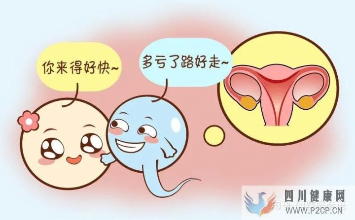 输卵管堵塞到底是先做手术,还是直接试管婴儿(女方输卵管堵塞做试管婴儿需要多长时间)(图1)
