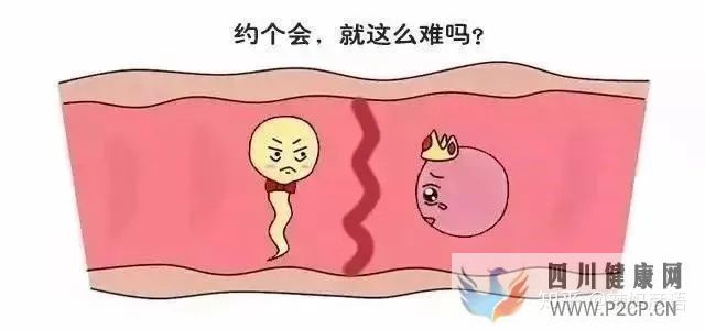 输卵管堵塞到底是先做手术,还是直接试管婴儿(女方输卵管堵塞做试管婴儿需要多长时间)(图3)