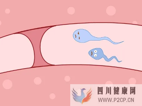 输卵管堵塞怎么办？做手术还是做试管婴儿好？(女方输卵管堵塞做试管婴儿需要多长时间)(图1)