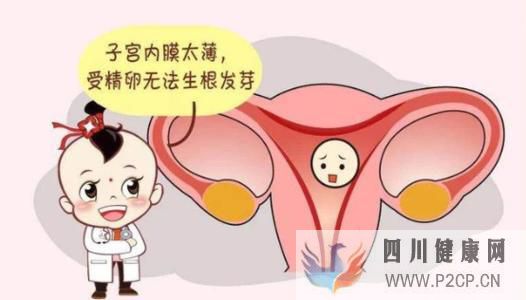 滔滔顾问：女性子宫内膜薄可以做试管婴儿吗？(请问做试管婴儿的费用可以报销吗)(图1)
