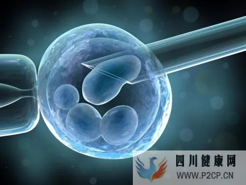 哪些人适合做美国三代试管婴儿?(三代试管婴儿总费用)(图1) 哪些人适合做美国三代试管婴儿?(三代试管婴儿总费用)(图1)