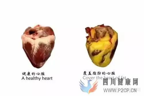 减肥冷知识你所不知道的30条减肥冷知识(图5) 减肥冷知识你所不知道的30条减肥冷知识(图5)