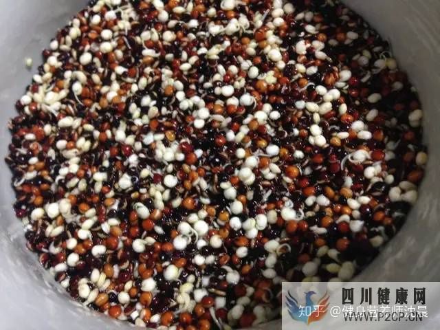 十种适合减肥吃的食物,送给减肥不吃主食的你!(图3) 十种适合减肥吃的食物,送给减肥不吃主食的你!(图3)