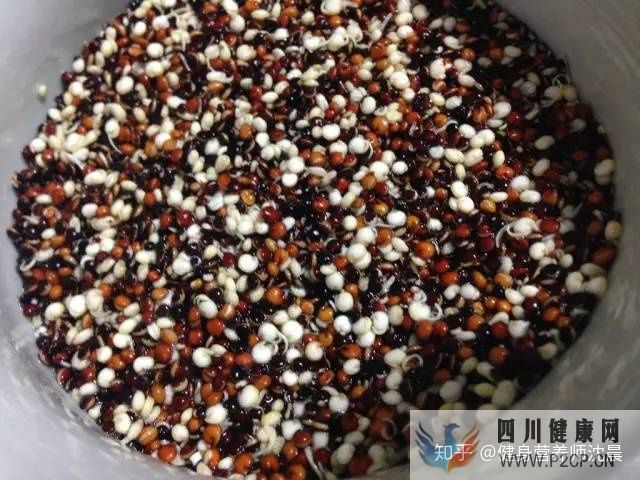 十种适合减肥吃的食物,送给减肥不吃主食的你!(图4) 十种适合减肥吃的食物,送给减肥不吃主食的你!(图4)