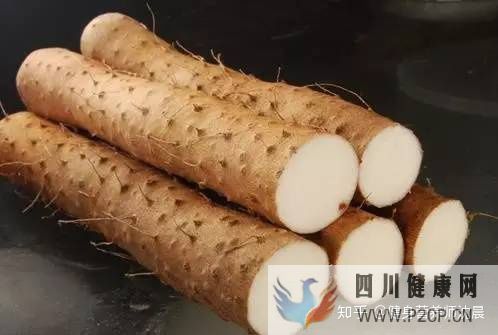 十种适合减肥吃的食物,送给减肥不吃主食的你!(图13)