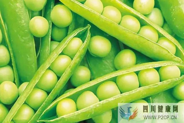 十种适合减肥吃的食物,送给减肥不吃主食的你!(图15) 十种适合减肥吃的食物,送给减肥不吃主食的你!(图15)