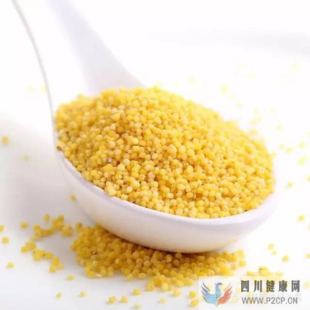 十种适合减肥吃的食物,送给减肥不吃主食的你!(图20) 十种适合减肥吃的食物,送给减肥不吃主食的你!(图20)