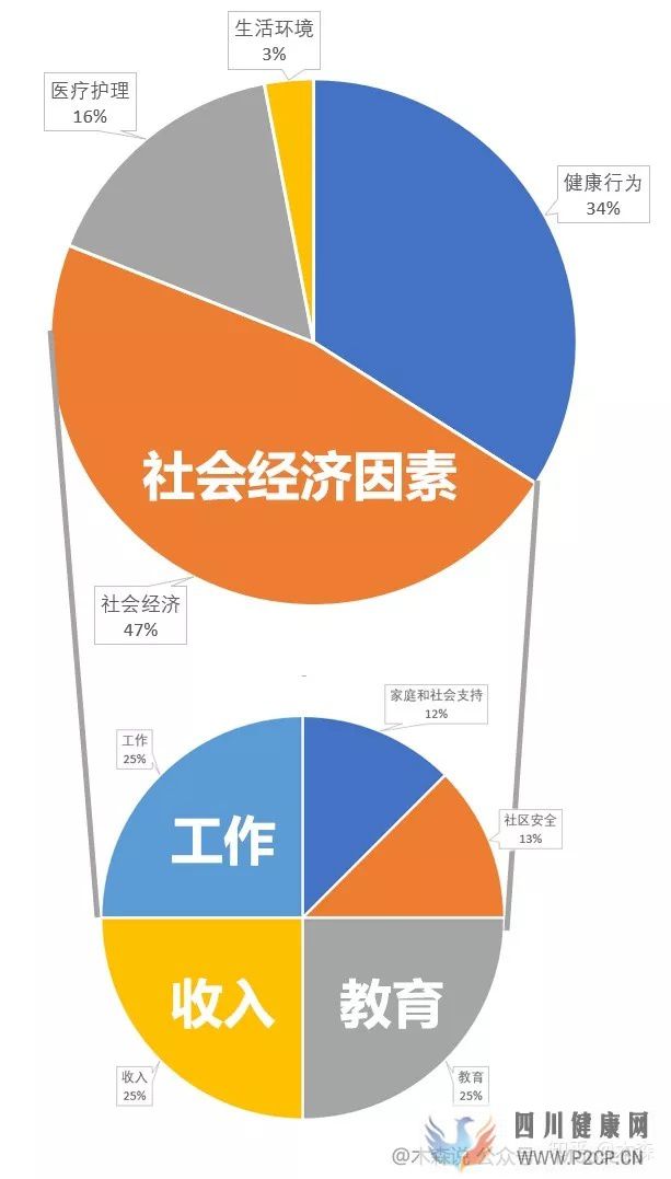 决定健康的3个最重要因素(图1)