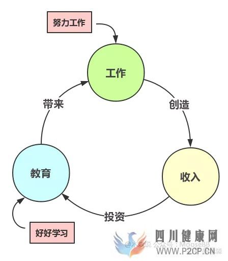 决定健康的3个最重要因素(图11)