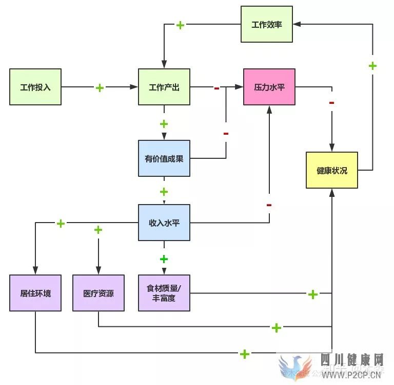 决定健康的3个最重要因素(图13)