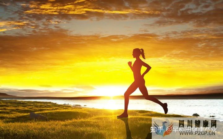 健康第一责任人自己才是健康的主人,请为健康负责(图15) 健康第一责任人自己才是健康的主人,请为健康负责(图15)