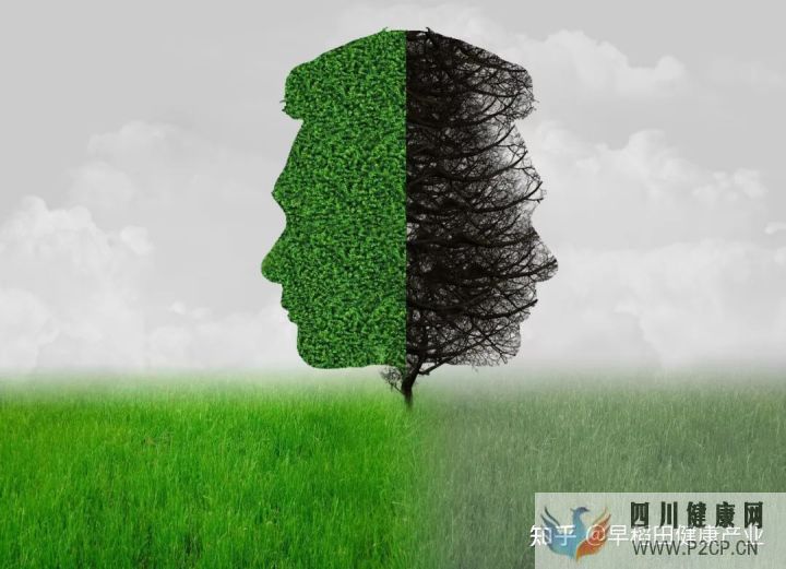 健康第一责任人自己才是健康的主人,请为健康负责(图20) 健康第一责任人自己才是健康的主人,请为健康负责(图20)