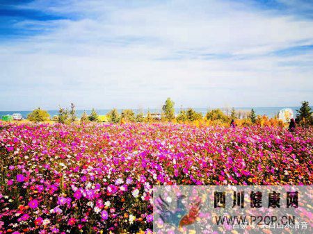 关爱自己的身体健康,因为没有健康就没有一切(图1) 关爱自己的身体健康,因为没有健康就没有一切(图1)