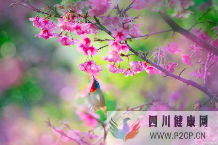 关爱自己的身体健康,因为没有健康就没有一切(图7) 关爱自己的身体健康,因为没有健康就没有一切(图7)