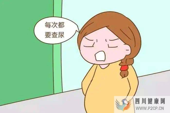 尿常规报告要怎么看？成都锦江妇幼产科专家手把手教您！(图1)