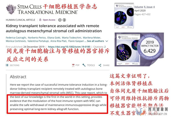 尿毒症新进展！试验效果令人惊讶的，间充质干细胞治疗(干细胞的效果)(图1)