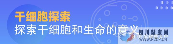 千万别被忽悠了!说说令人眼花缭乱的干细胞美容(干细胞的效果立竿见影吗)(图2)