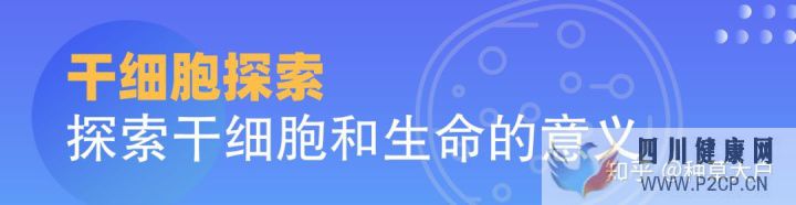 千万别被忽悠了!说说令人眼花缭乱的干细胞美容(干细胞的效果立竿见影吗)(图1) 千万别被忽悠了!说说令人眼花缭乱的干细胞美容(干细胞的效果立竿见影吗)(图1)