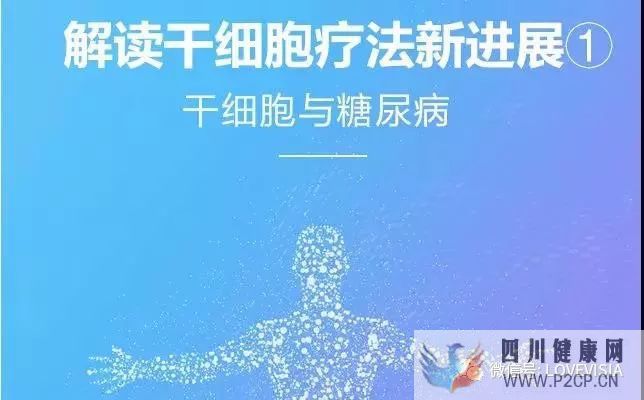 新华网：图解干细胞疗法治疗糖尿病的作用原理！(干细胞的治疗作用)(图1)