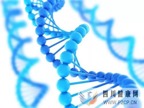 前沿:干细胞移植四种作用机制,为治疗2型糖尿病带来新途径(干细胞的治疗作用)(图1) 前沿:干细胞移植四种作用机制,为治疗2型糖尿病带来新途径(干细胞的治疗作用)(图1)