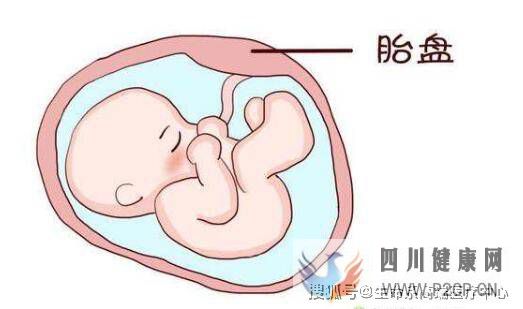 生命系：了解胎盘的主要功能是哪些呢？(干细胞的主要功能和作用)(图1)