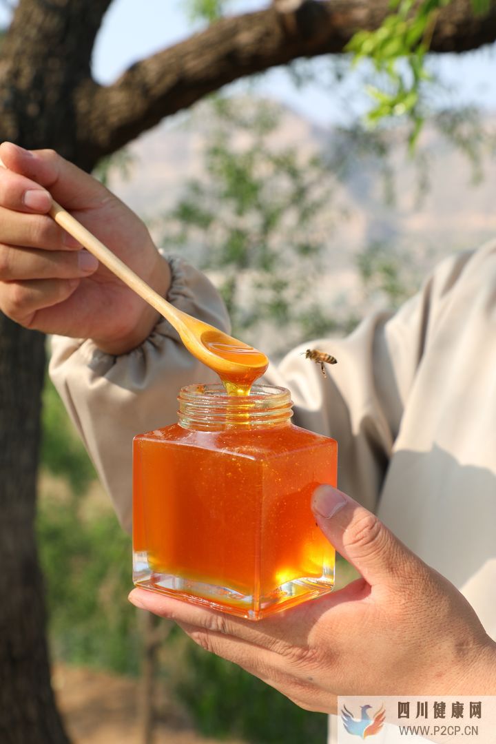 枣花蜜有什么作用与功效蜂蜜的作用与功效(干细胞的作用与功效)(图3)