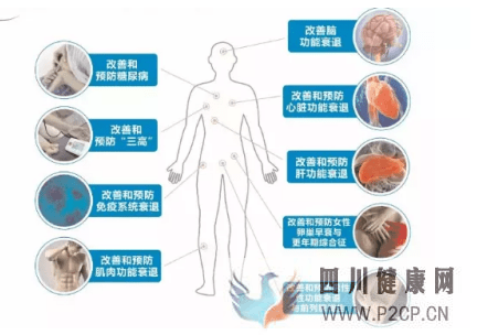 分析：干细胞回输有什么好处,干细胞回输后生活饮食注意事项~(干细胞的作用与功效和注意事项)(图1)